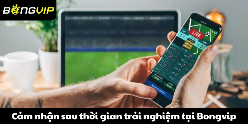 Cảm nhận sau thời gian trải nghiệm tại Bongvip