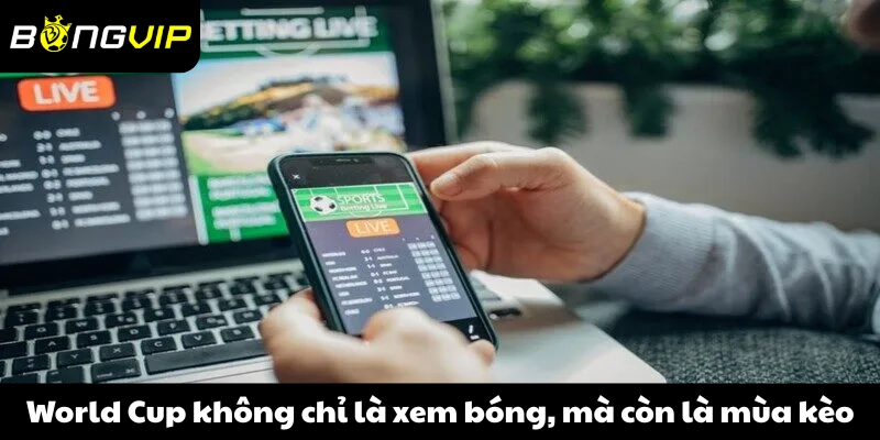 World Cup không chỉ là xem bóng, mà còn là mùa kèo