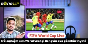 Bongvip