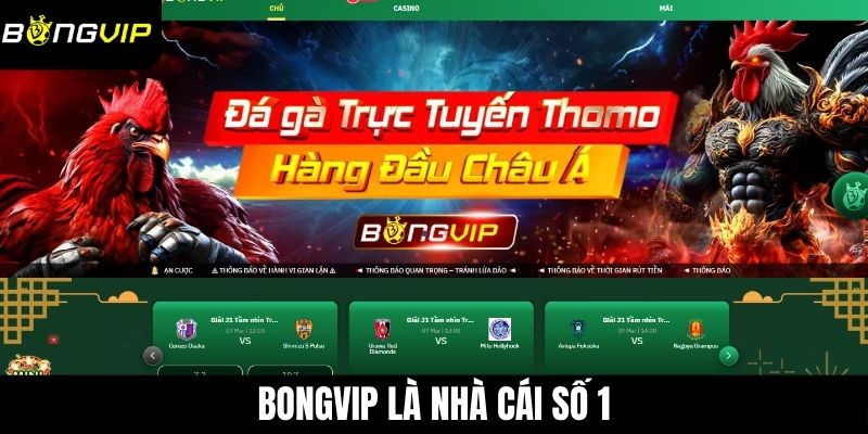 Bongvip là nhà cái số 1