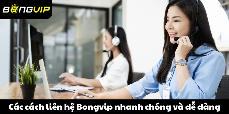 Các cách liên hệ Bongvip nhanh chóng và dễ dàng