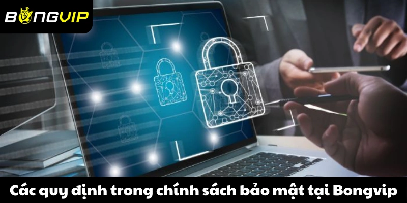 Các quy định trong chính sách bảo mật tại Bongvip