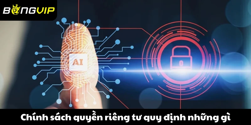 Chính sách quyền riêng tư quy định những gì