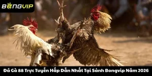 Đá Gà 88