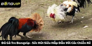 Đá Gà Tre