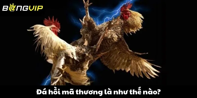 Đá hồi mã thương là như thế nào?