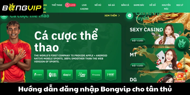 Hướng dẫn các bước đăng nhập Bongvip cho tân thủ