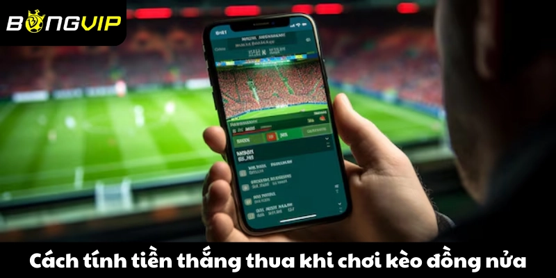 Cách tính tiền thắng thua khi chơi kèo đồng nửa