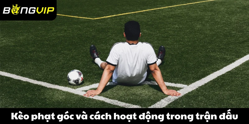 Kèo phạt góc là gì và cách hoạt động trong một trận đấu