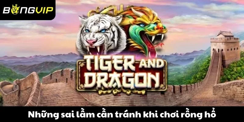 Những sai lầm cần tránh khi chơi cược rồng hổ