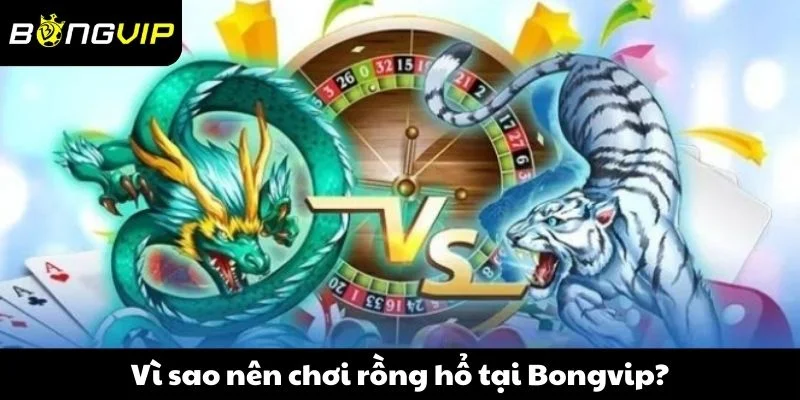 Vì sao nên chơi rồng hổ tại Bongvip?