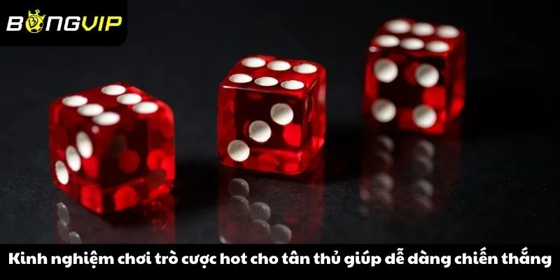 Kinh nghiệm chơi trò cược hot cho tân thủ giúp dễ dàng chiến thắng