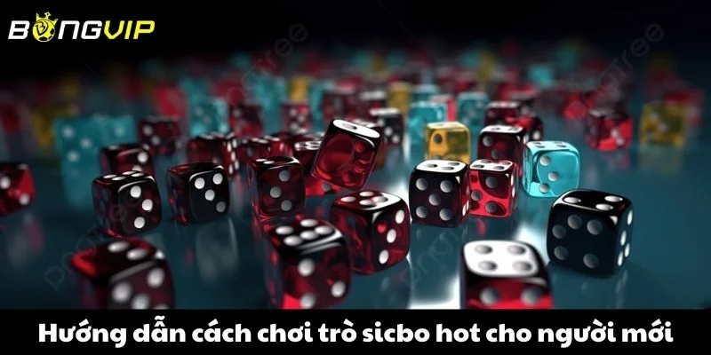Hướng dẫn cách chơi trò sicbo hot cho người mới