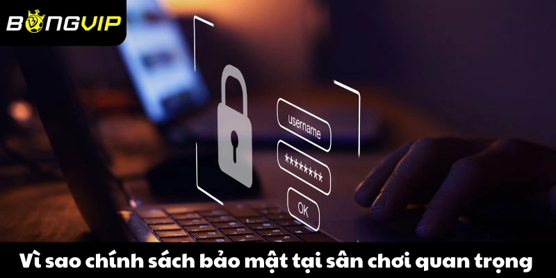 Vì sao chính sách bảo mật tại sân chơi trở nên quan trọng 