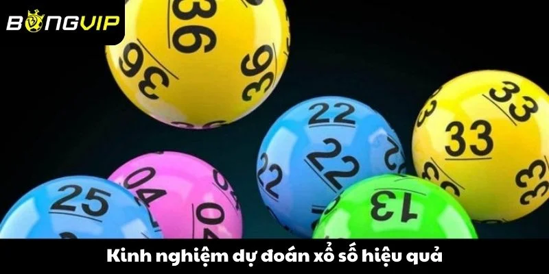 Kinh nghiệm khi dự đoán xổ số hiệu quả