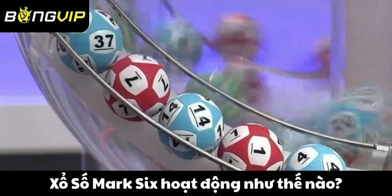 Xổ Số Mark Six hoạt động như thế nào?