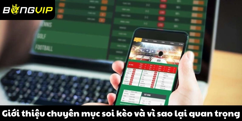 Giới thiệu chuyên mục soi kèo và vì sao lại quan trọng